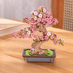 Sakura Bonsai Tree