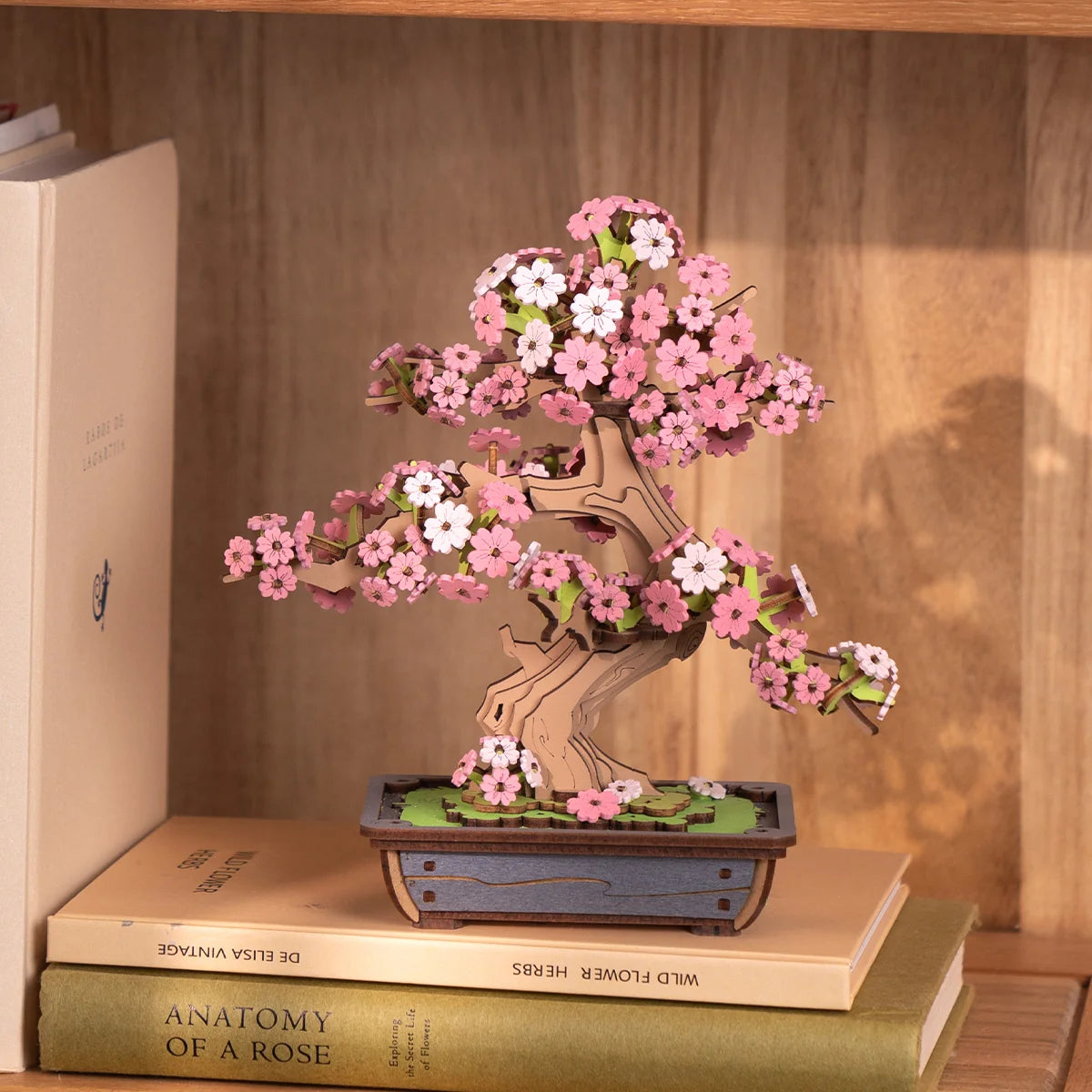 Sakura Bonsai Tree