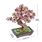 Sakura Bonsai Tree